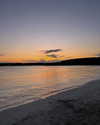 carmenrose._ Altpins Profile Picture