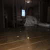 carmonoam Altpins Profile Picture