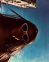carmonoam Altpins Profile Picture