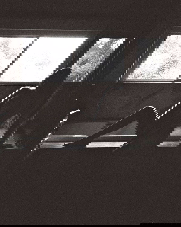 carolinezalog carolinezalog archive image