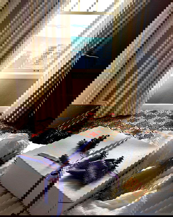 carolinezalog carolinezalog archive image