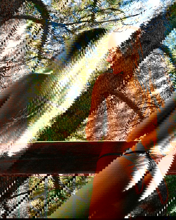 carolinezalog carolinezalog archive image