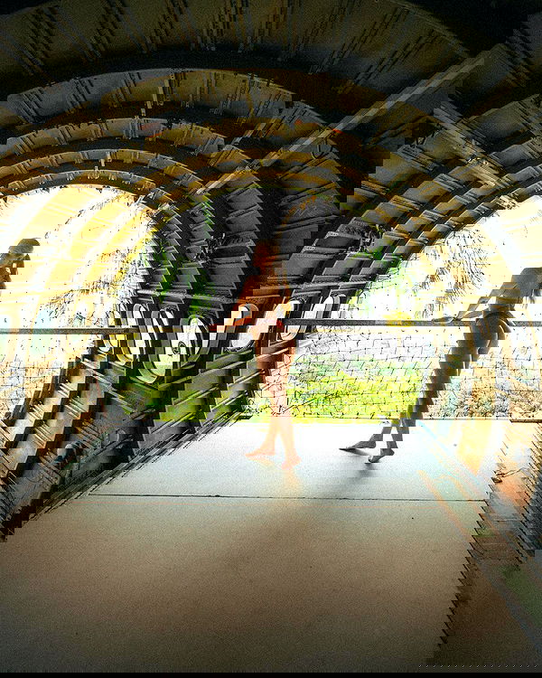 carolinezalog carolinezalog archive image