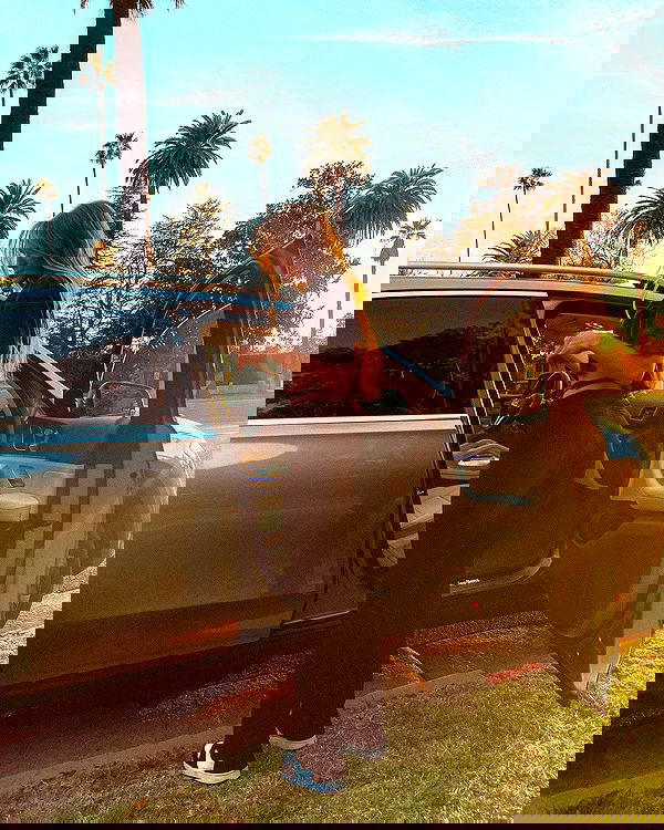 carolinezalog carolinezalog archive image