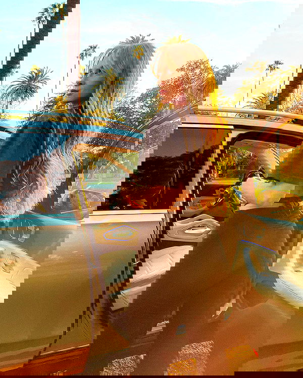 carolinezalog carolinezalog archive image