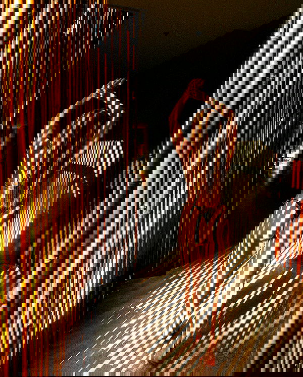 carolinezalog carolinezalog archive image