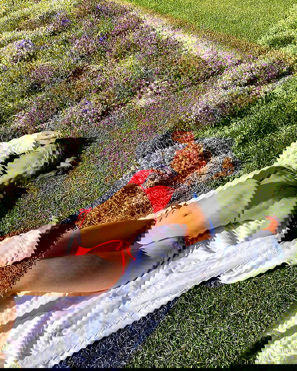 carolinezalog carolinezalog archive image