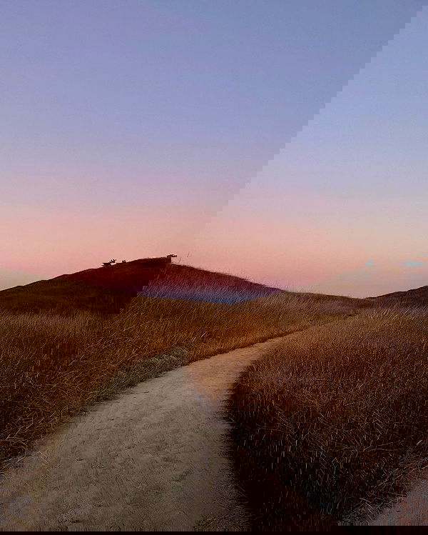 carolinezalog carolinezalog archive image