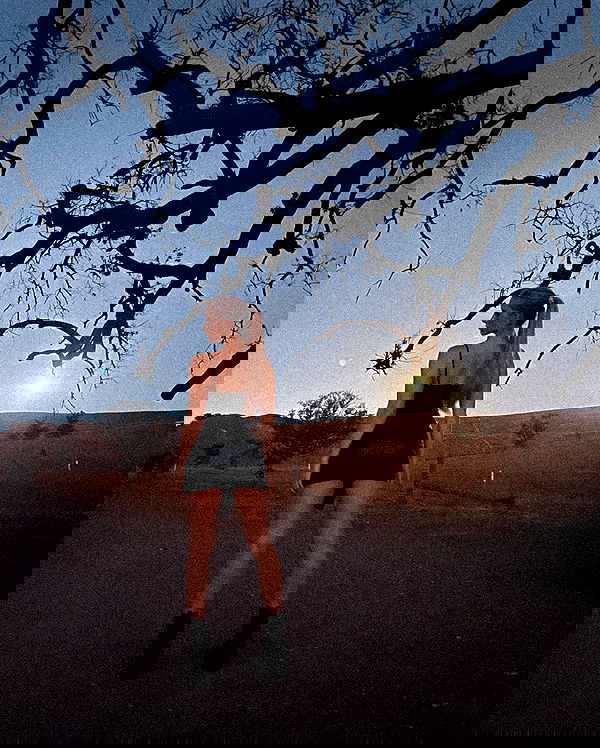 carolinezalog carolinezalog archive image