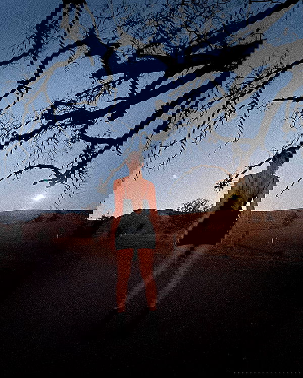 carolinezalog carolinezalog archive image