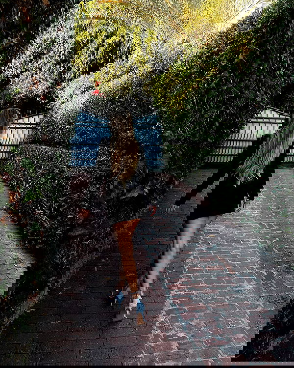 carolinezalog carolinezalog archive image