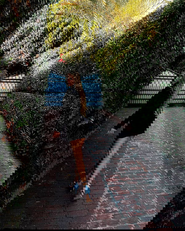 carolinezalog carolinezalog archive image