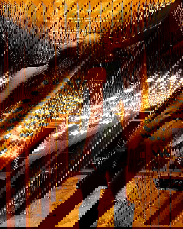 carolinezalog carolinezalog archive image