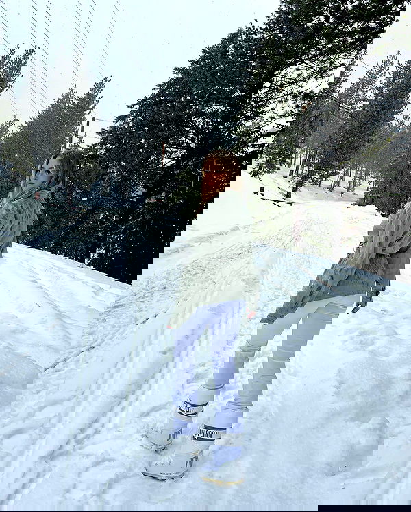 carolinezalog carolinezalog archive image