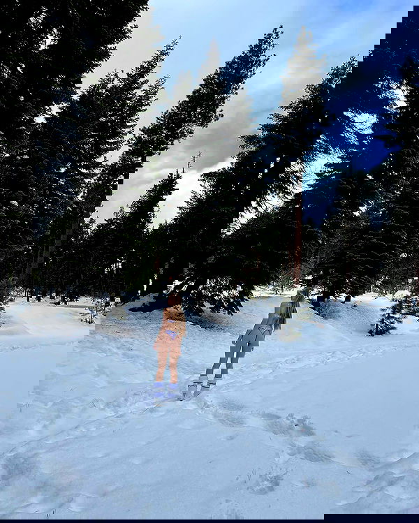 carolinezalog carolinezalog archive image