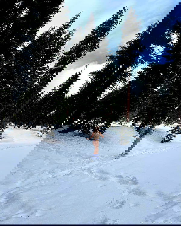 carolinezalog carolinezalog archive image