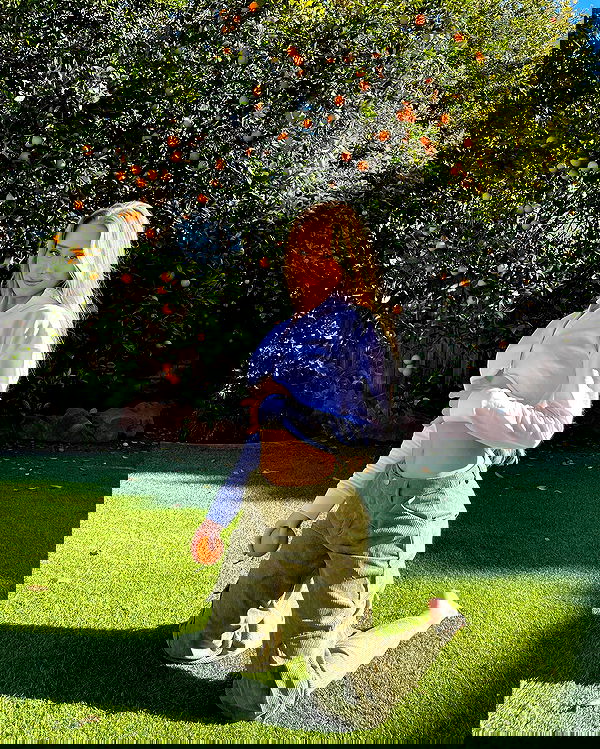 carolinezalog carolinezalog archive image