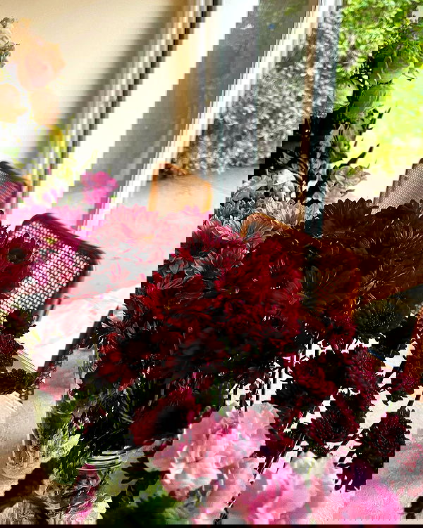 carolinezalog carolinezalog archive image