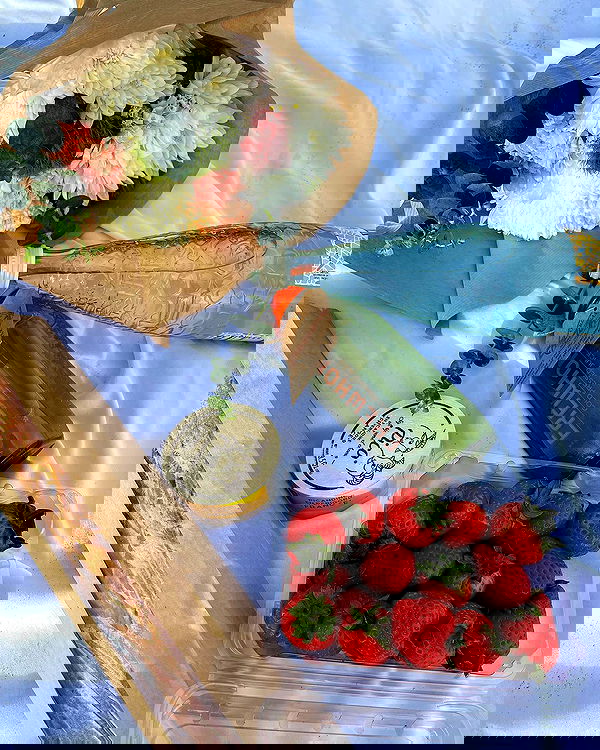 carolinezalog carolinezalog archive image