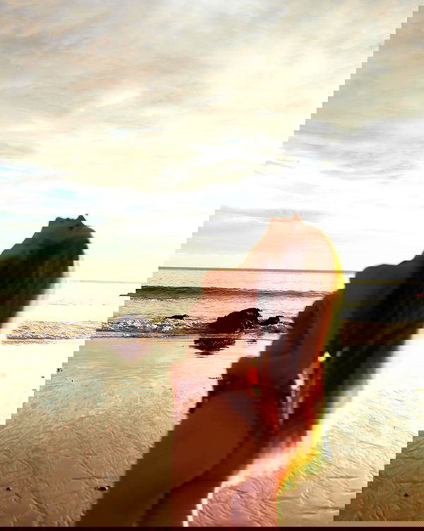 carolinezalog carolinezalog archive image