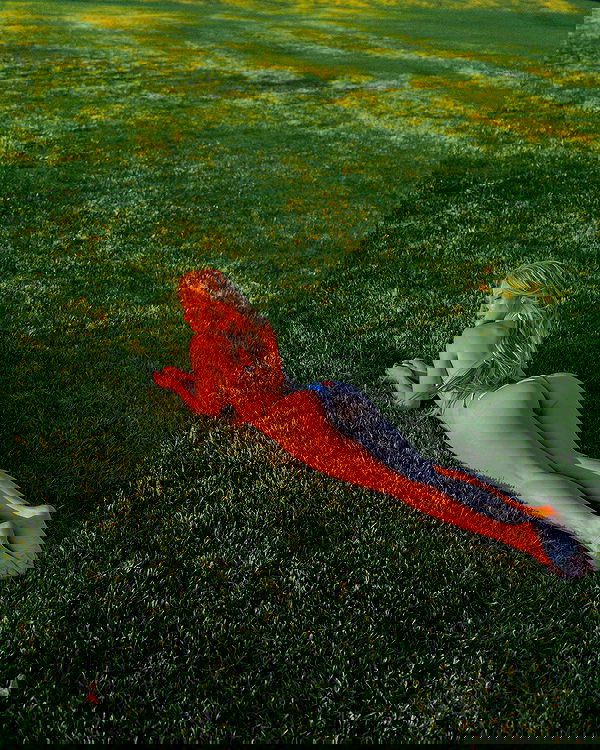 carolinezalog carolinezalog archive image