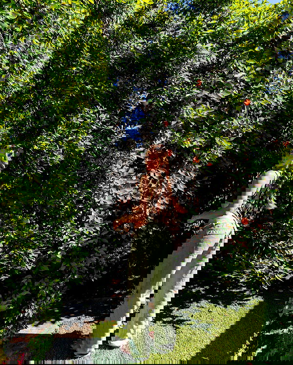 carolinezalog carolinezalog archive image