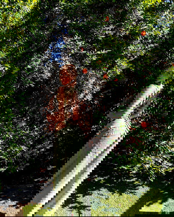 carolinezalog carolinezalog archive image