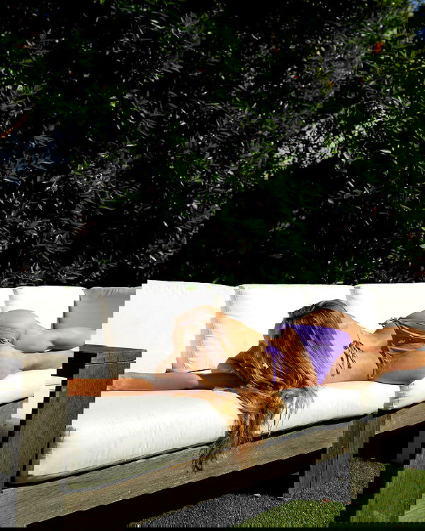 carolinezalog carolinezalog archive image