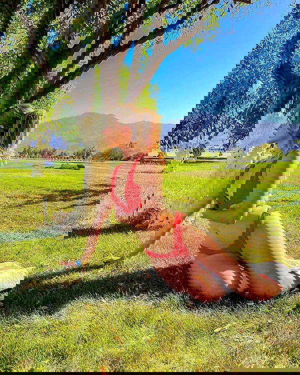 carolinezalog carolinezalog archive image