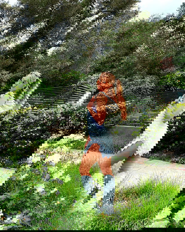 carolinezalog carolinezalog archive image