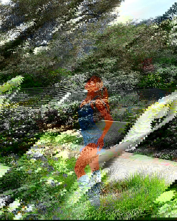 carolinezalog carolinezalog archive image