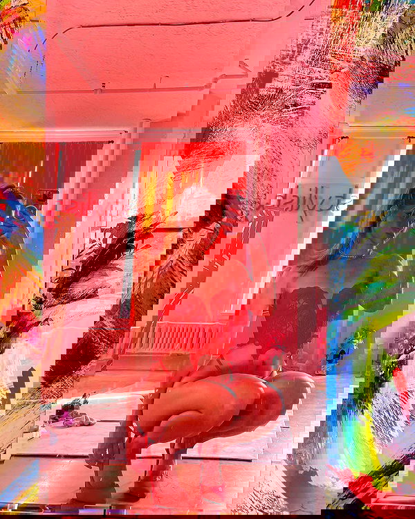 carolinezalog carolinezalog archive image