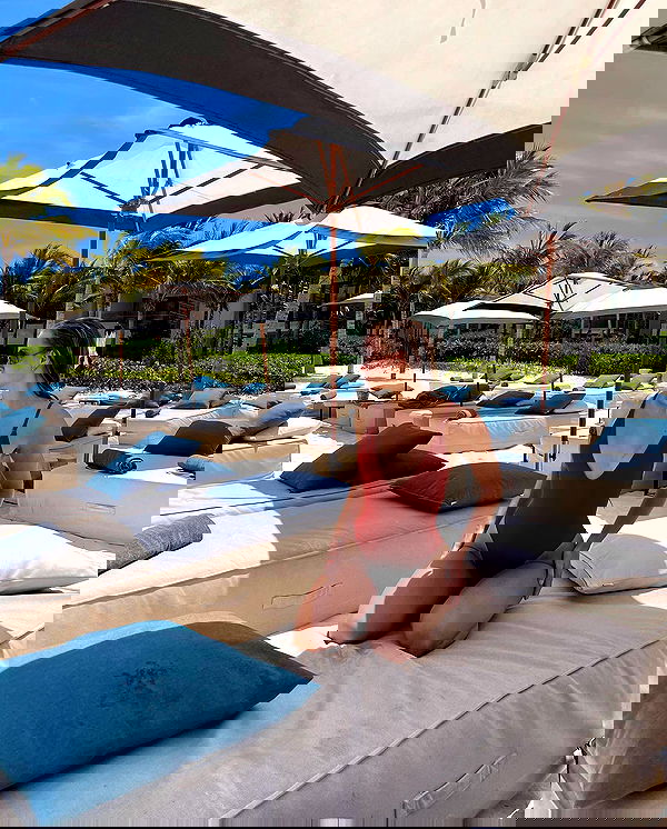 carolinezalog carolinezalog archive image