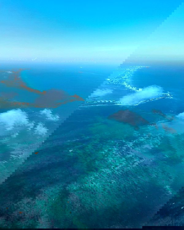 carolinezalog carolinezalog archive image