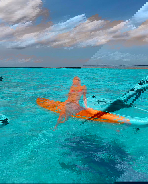 carolinezalog carolinezalog archive image