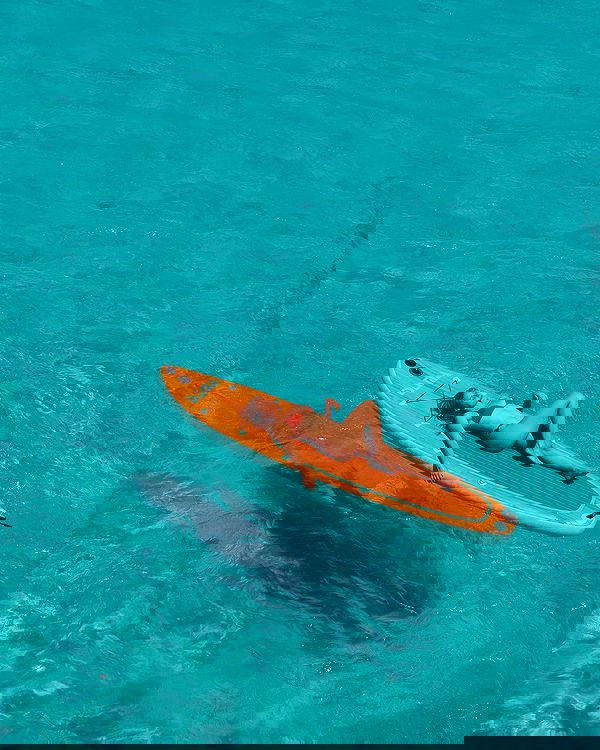 carolinezalog carolinezalog archive image