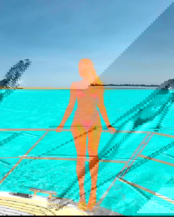 carolinezalog carolinezalog archive image