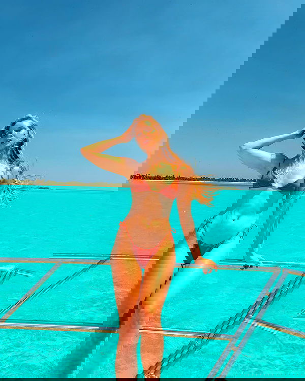 carolinezalog carolinezalog archive image