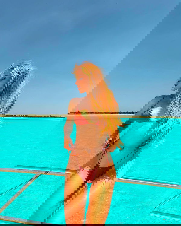 carolinezalog carolinezalog archive image