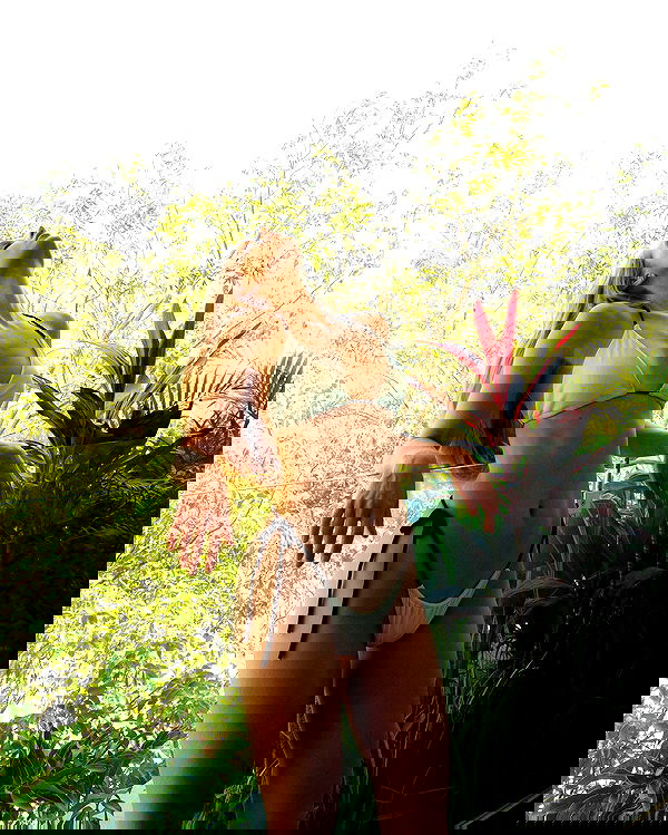 carolinezalog carolinezalog archive image