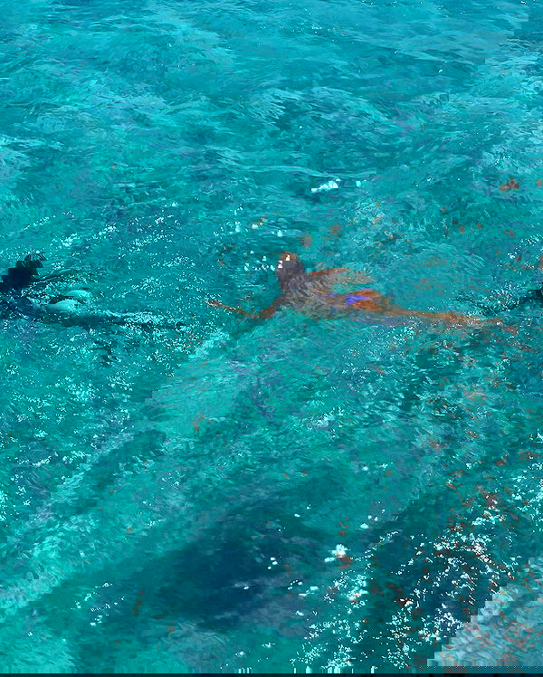 carolinezalog carolinezalog archive image