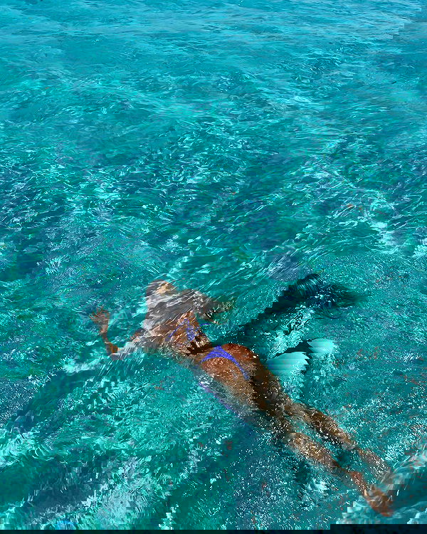 carolinezalog carolinezalog archive image