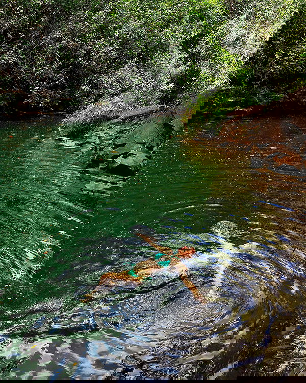 carolinezalog carolinezalog archive image