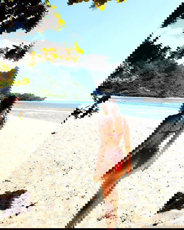 carolinezalog carolinezalog archive image