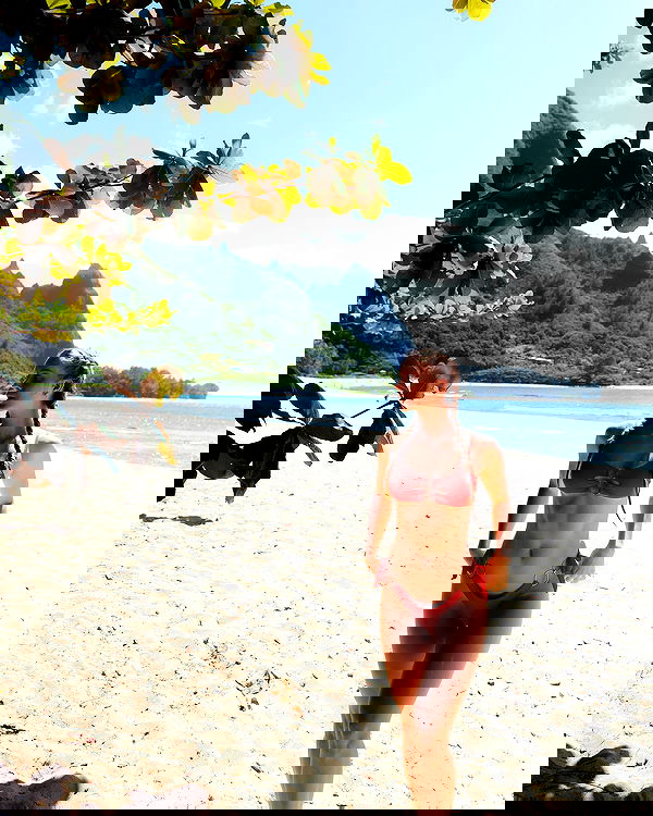 carolinezalog carolinezalog archive image