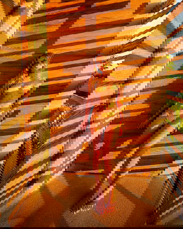 carolinezalog carolinezalog archive image