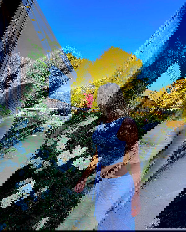 carolinezalog carolinezalog archive image