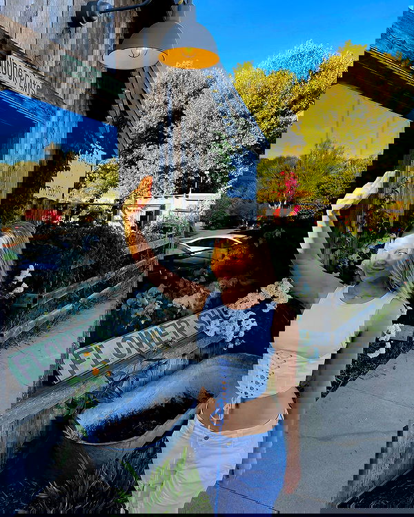 carolinezalog carolinezalog archive image