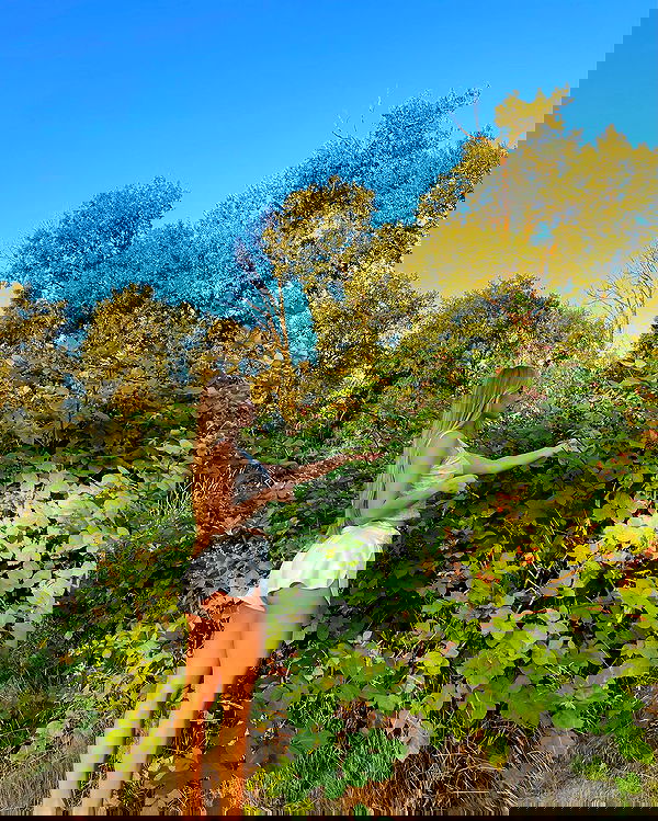 carolinezalog carolinezalog archive image