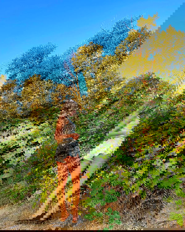 carolinezalog carolinezalog archive image